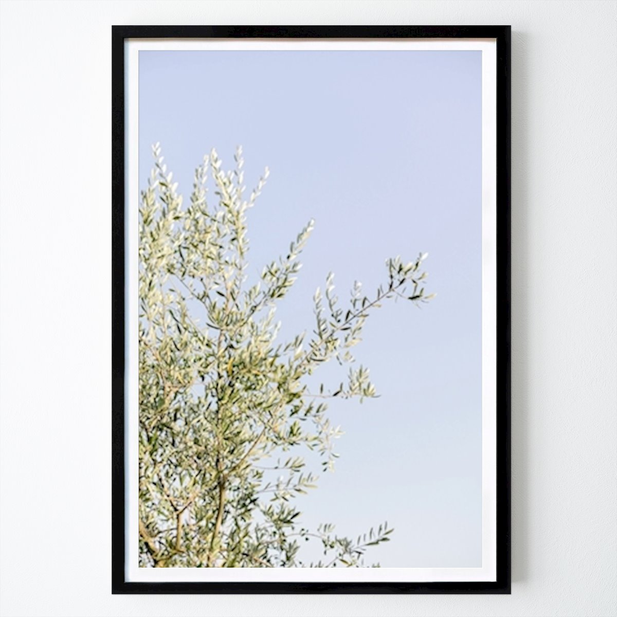 Włochy Plakat: Drzewo oliwne w Toskanii we Włoszech autorstwa Mirjam Broekhof