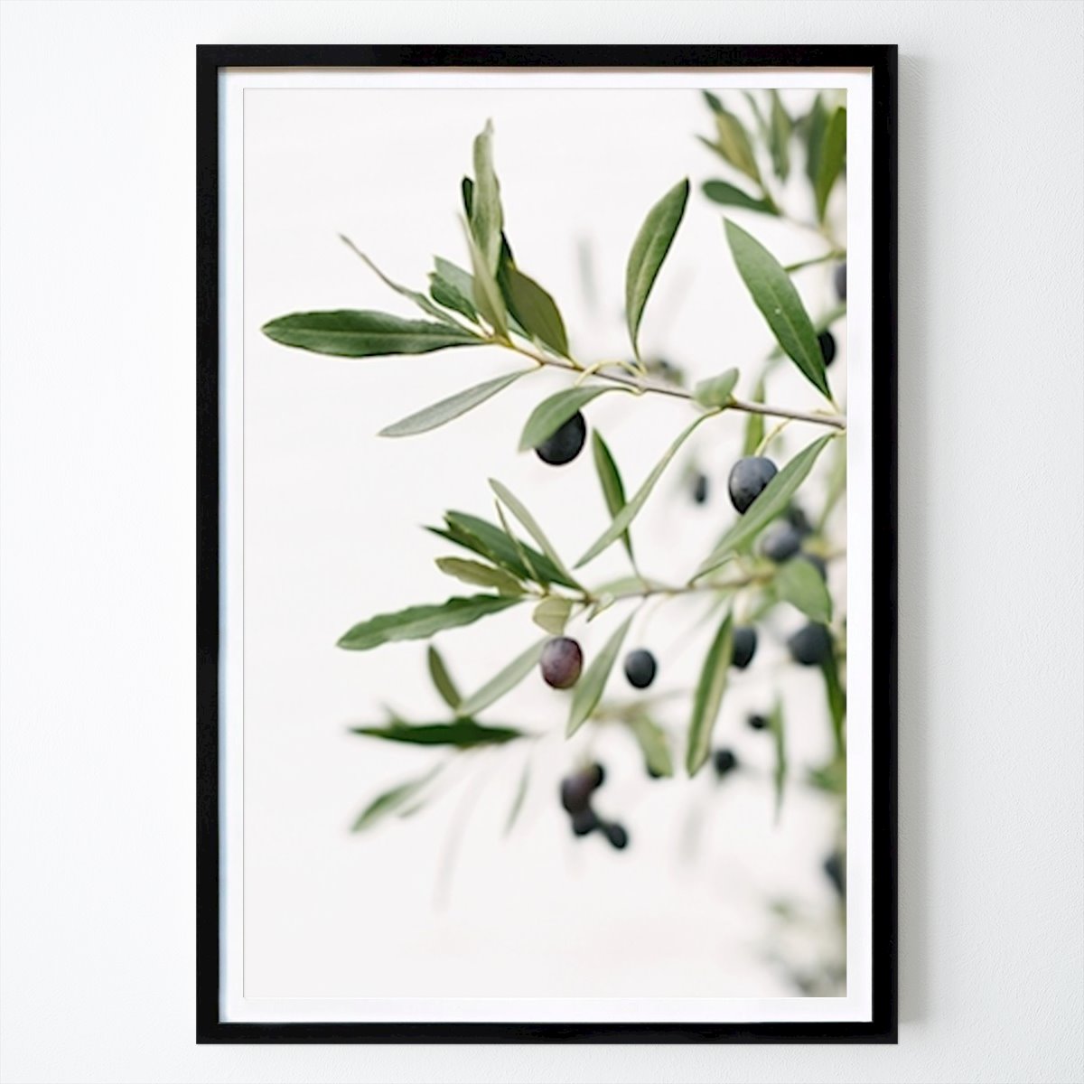 Botanical Poster: Olive Branches Botanical Print by Mirjam Broekhof