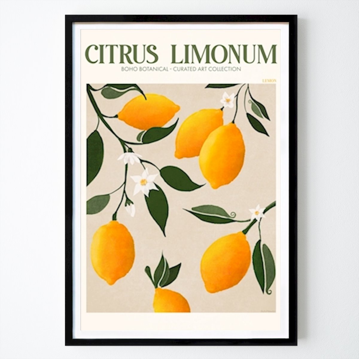 Botanisk Poster: Frukt Market Citron av Emel Tunaboylu by The Artcircle