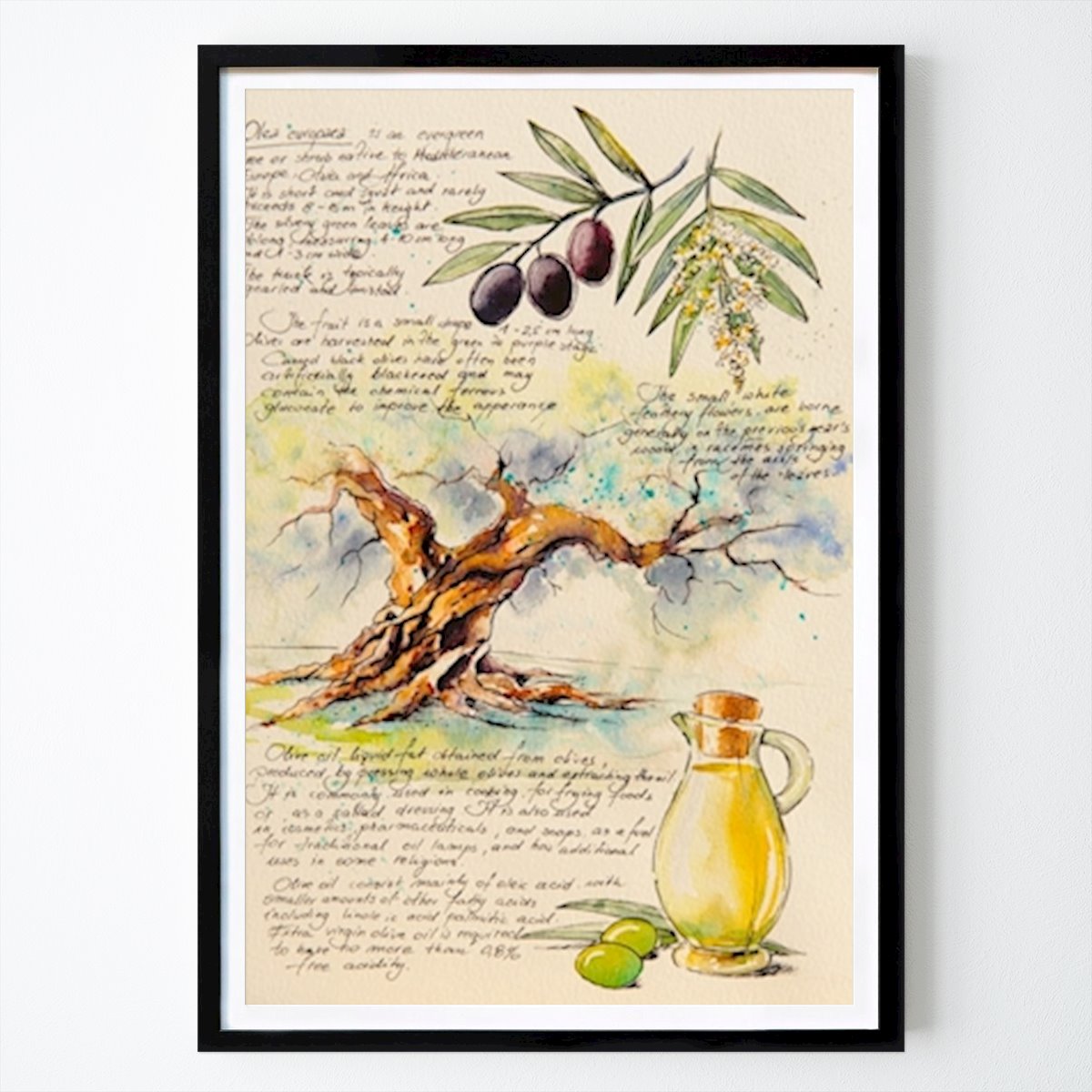 Botanical Poster: Olive Tree by Eve Mazur