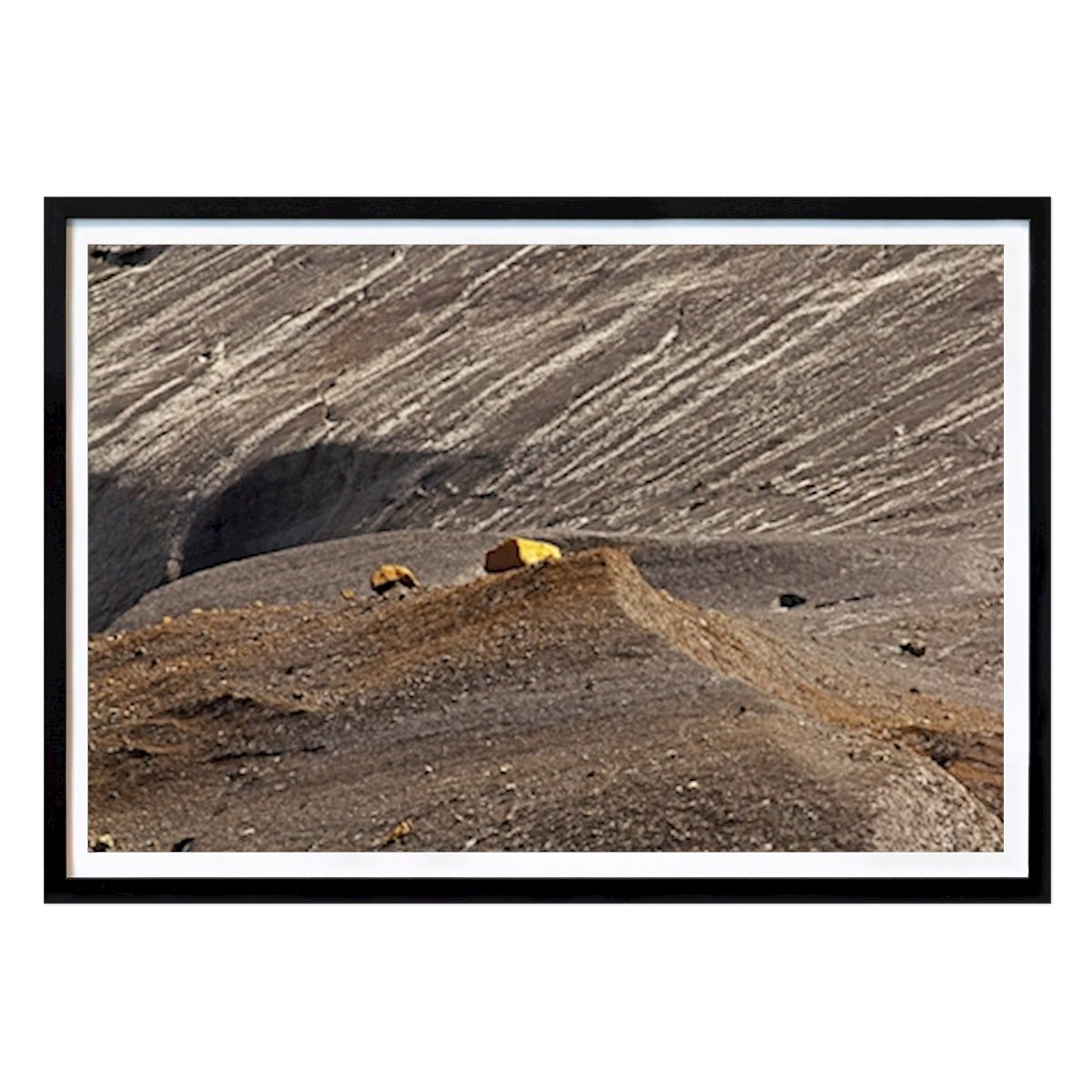 Natur Plakat: Bumling flyde av Ralph Andersson