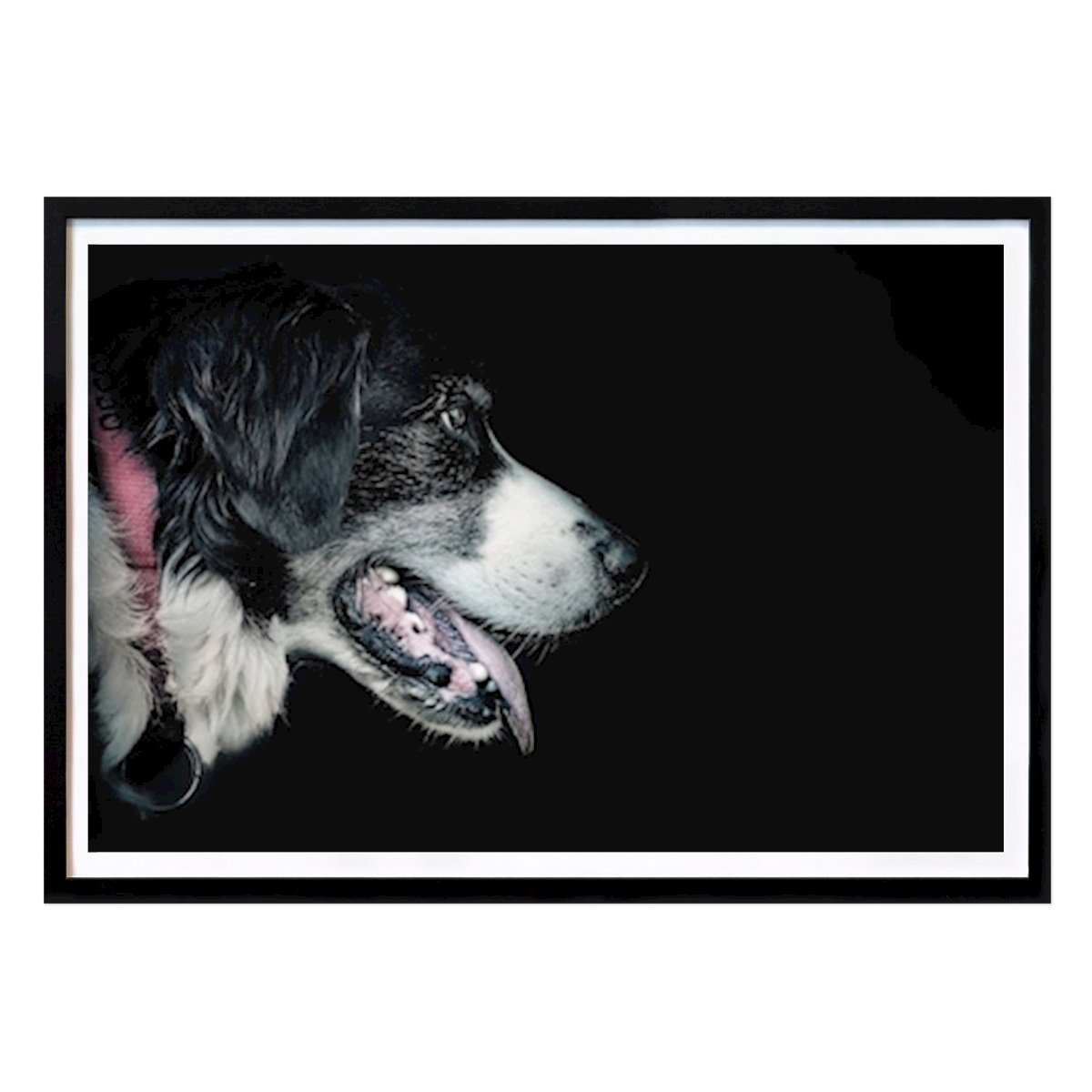 Tier Poster: Hund mit rotem halsband von Annette Schneider