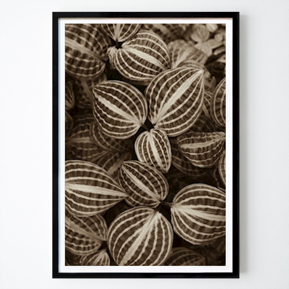 Abstract Poster: Patterns of nature by Edith Nero