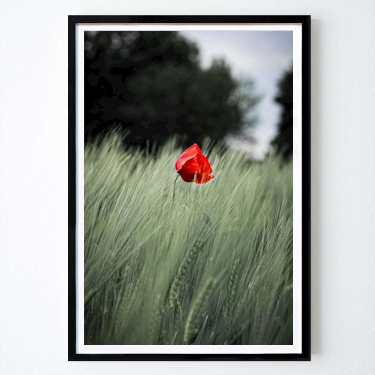 Virágok & Növények Poszter: Vörös hölgy Moody Flowers Photography által