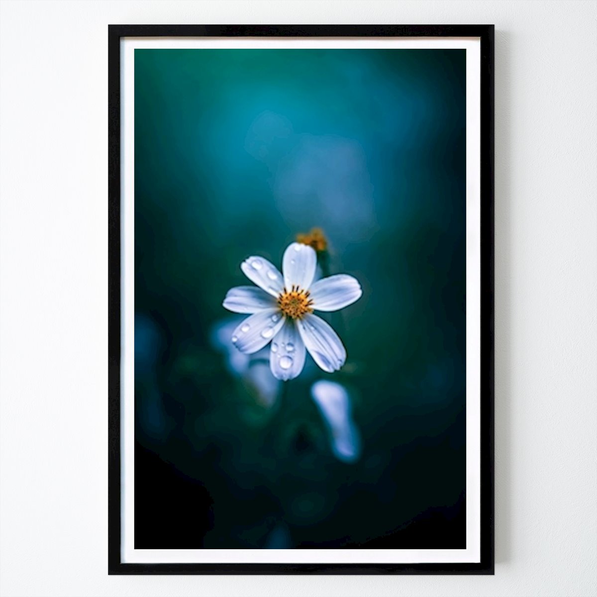 Kwiaty & Rośliny Plakat: Sen autorstwa Moody Flowers Photography