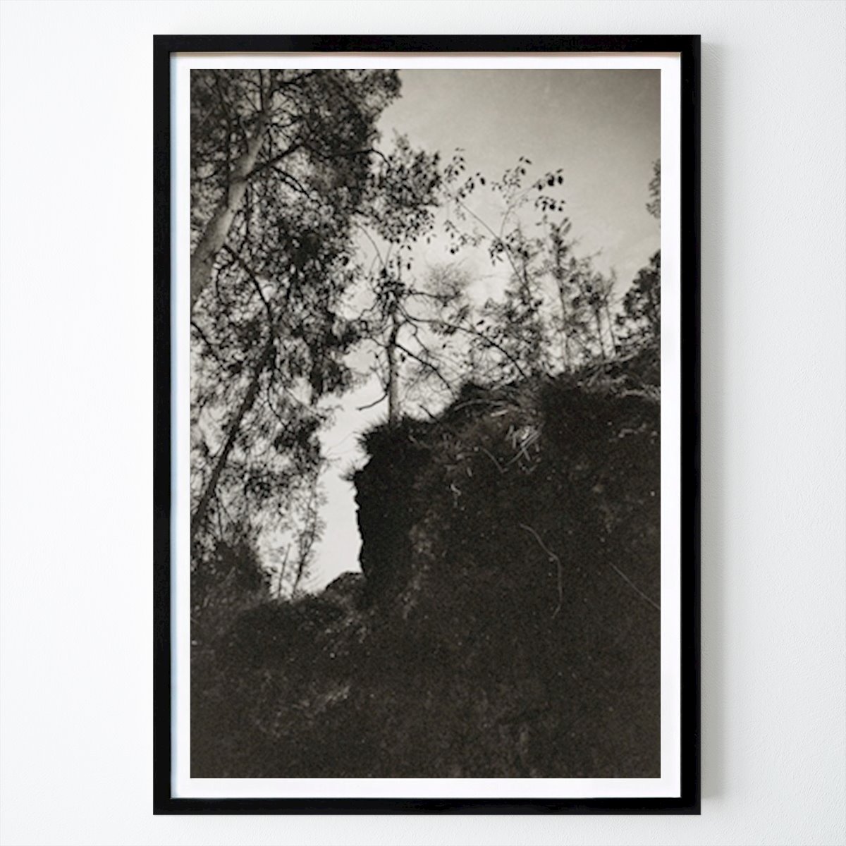 Gotland Natur Poster: Mystisk skog på Gotland av The Fleurs