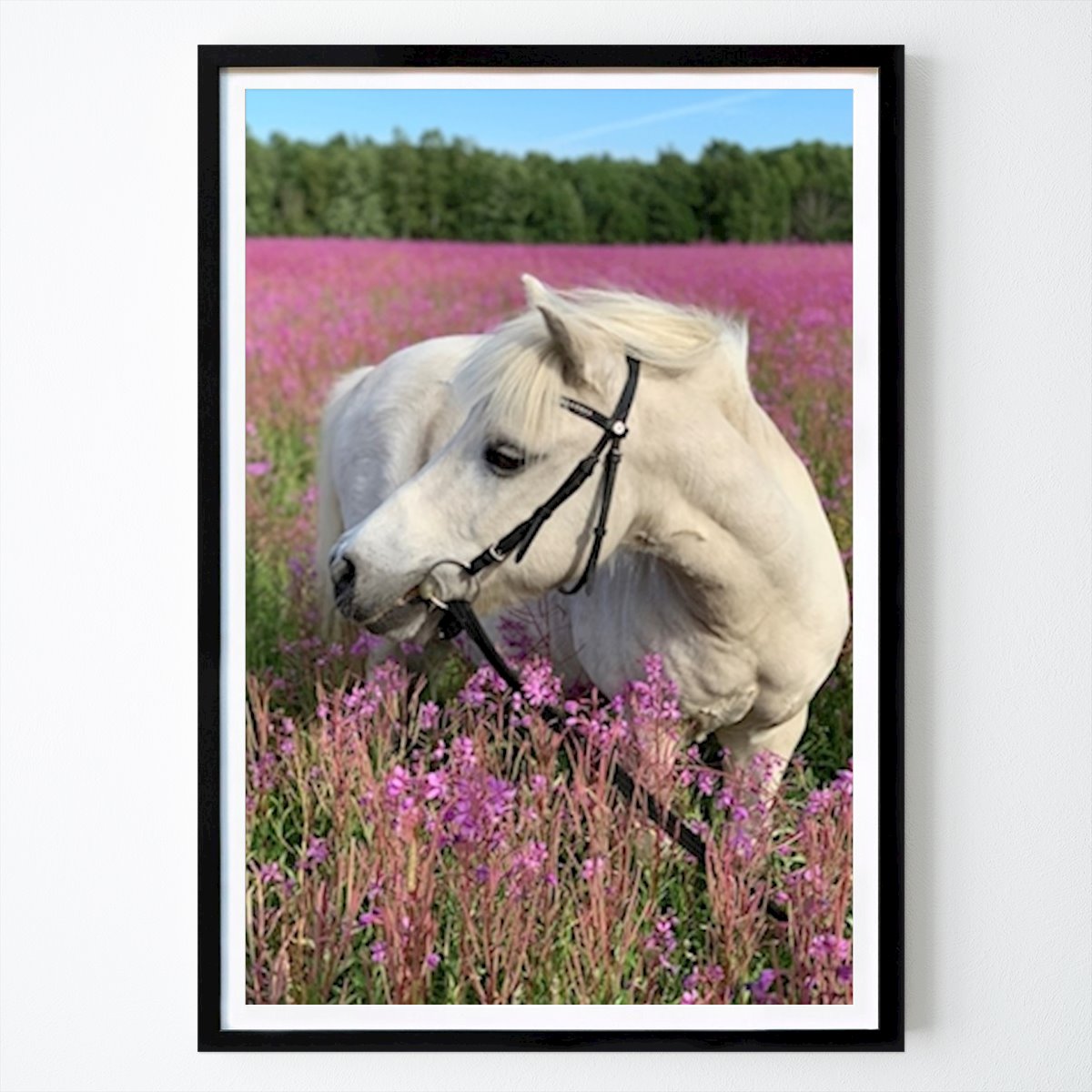 Villes & Pays Affiche: Drömäng par Annelie Sundstrom