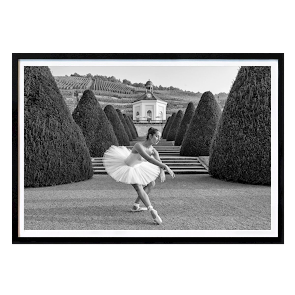 Artistiek Poster: Ballet van Jörg Schubert