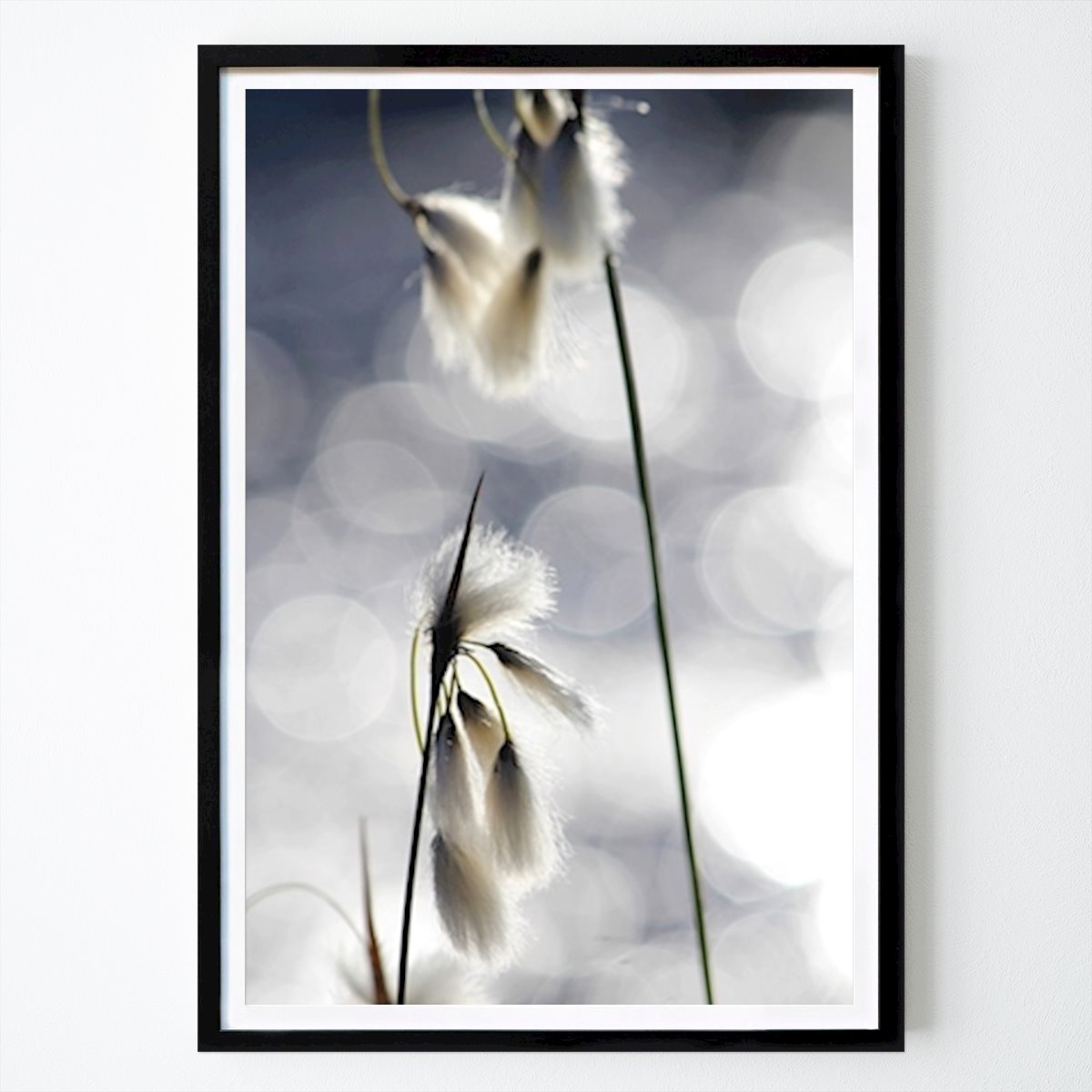 Fiori & Piante Poster: Lana di prato retroilluminata di Åsa Eklund