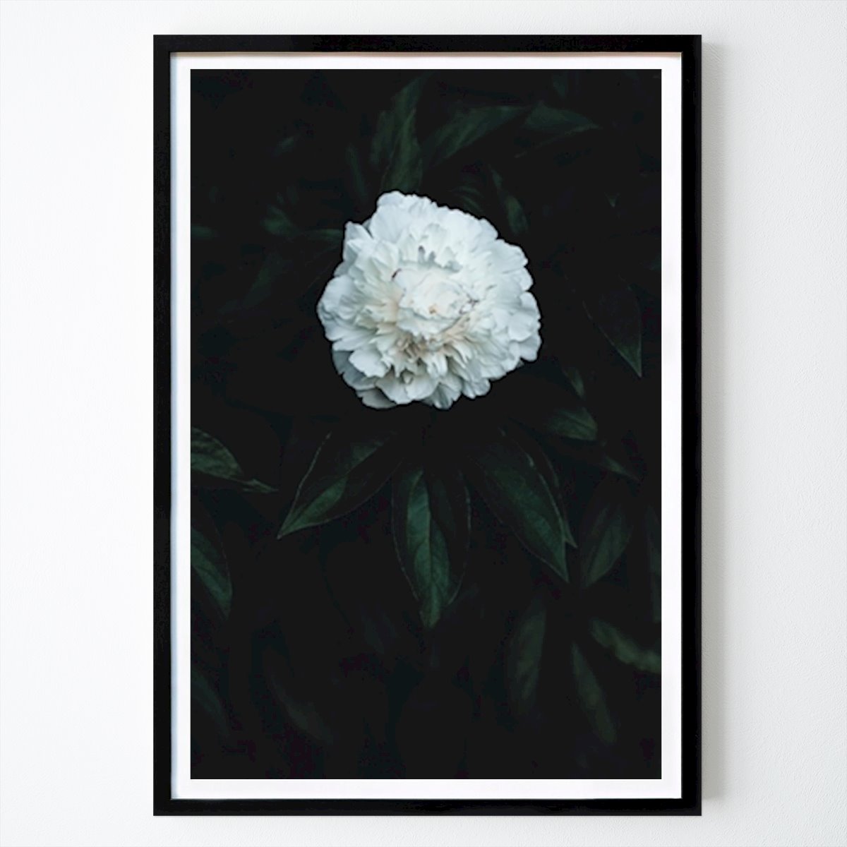 Blumen & Pflanzen Poster: Bauer von Daniel Wengel