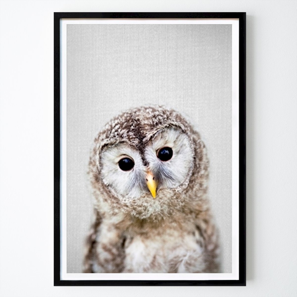 Barnrum Poster: Baby uggla av Gal Pittel