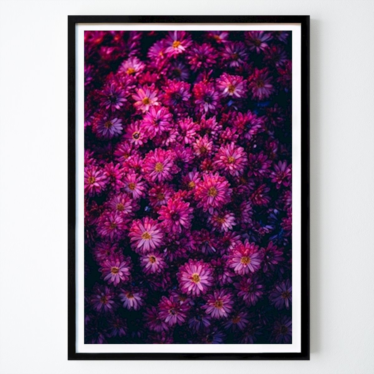 Botanisk Poster: Krysantemum av Elien Van Moerzeke