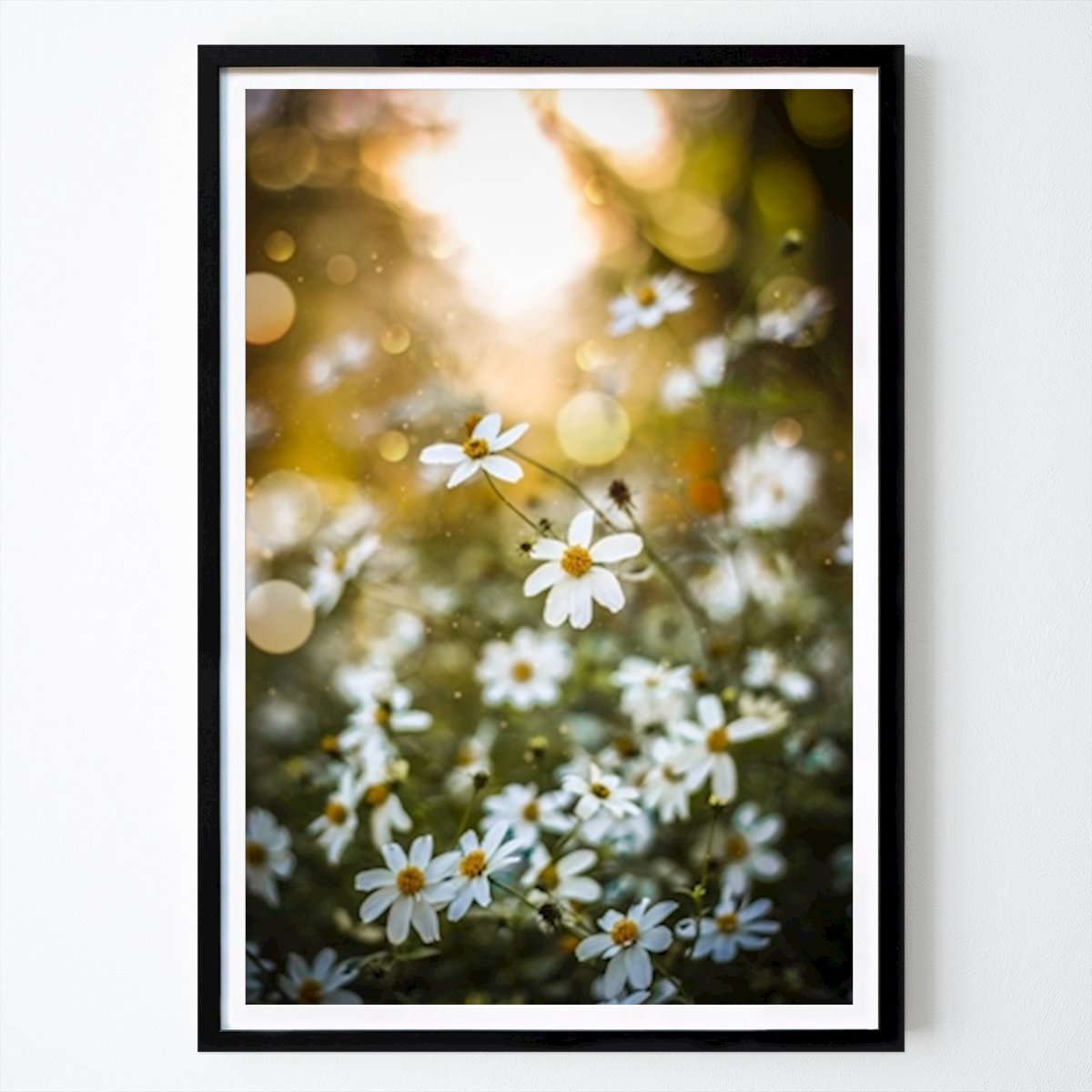 Természet Poszter: Aranyfény Moody Flowers Photography által
