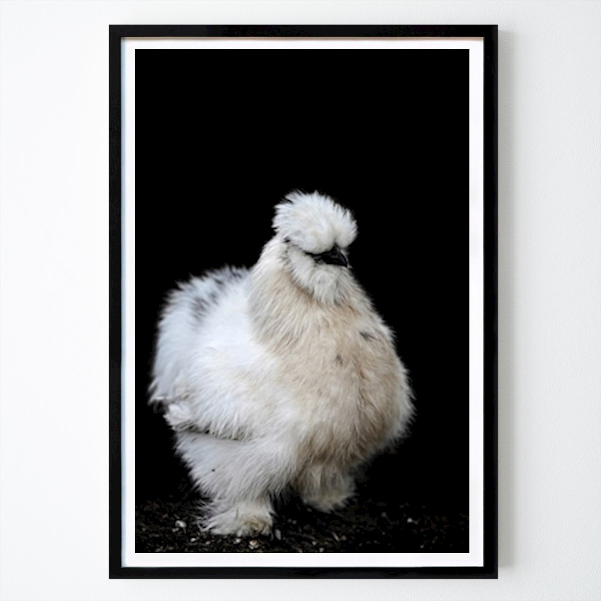 Animal Poster: Coola Hanan de Petra Vasseur