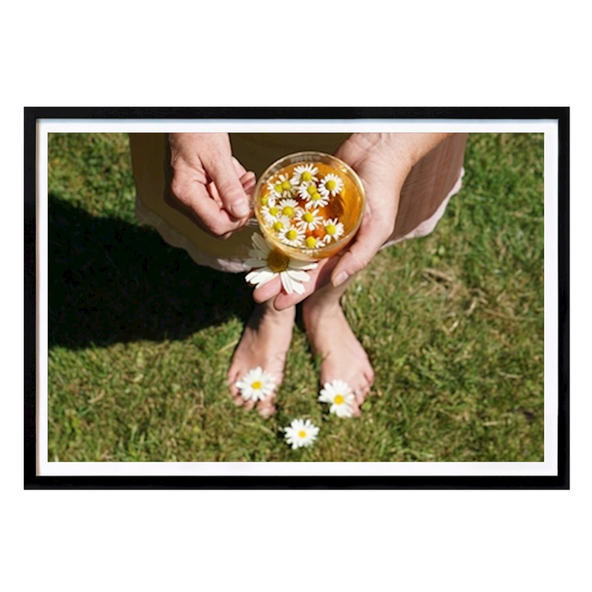 Nature Poster: Chamomile Tea by Julija Ogrodowski