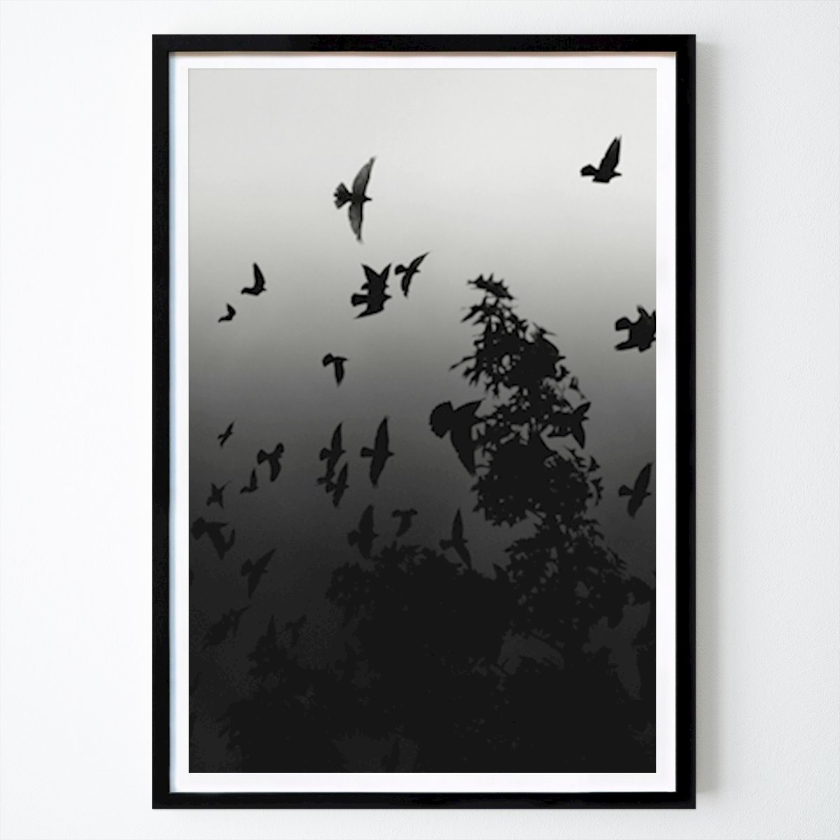Natur Plakat: Fugle av Lee