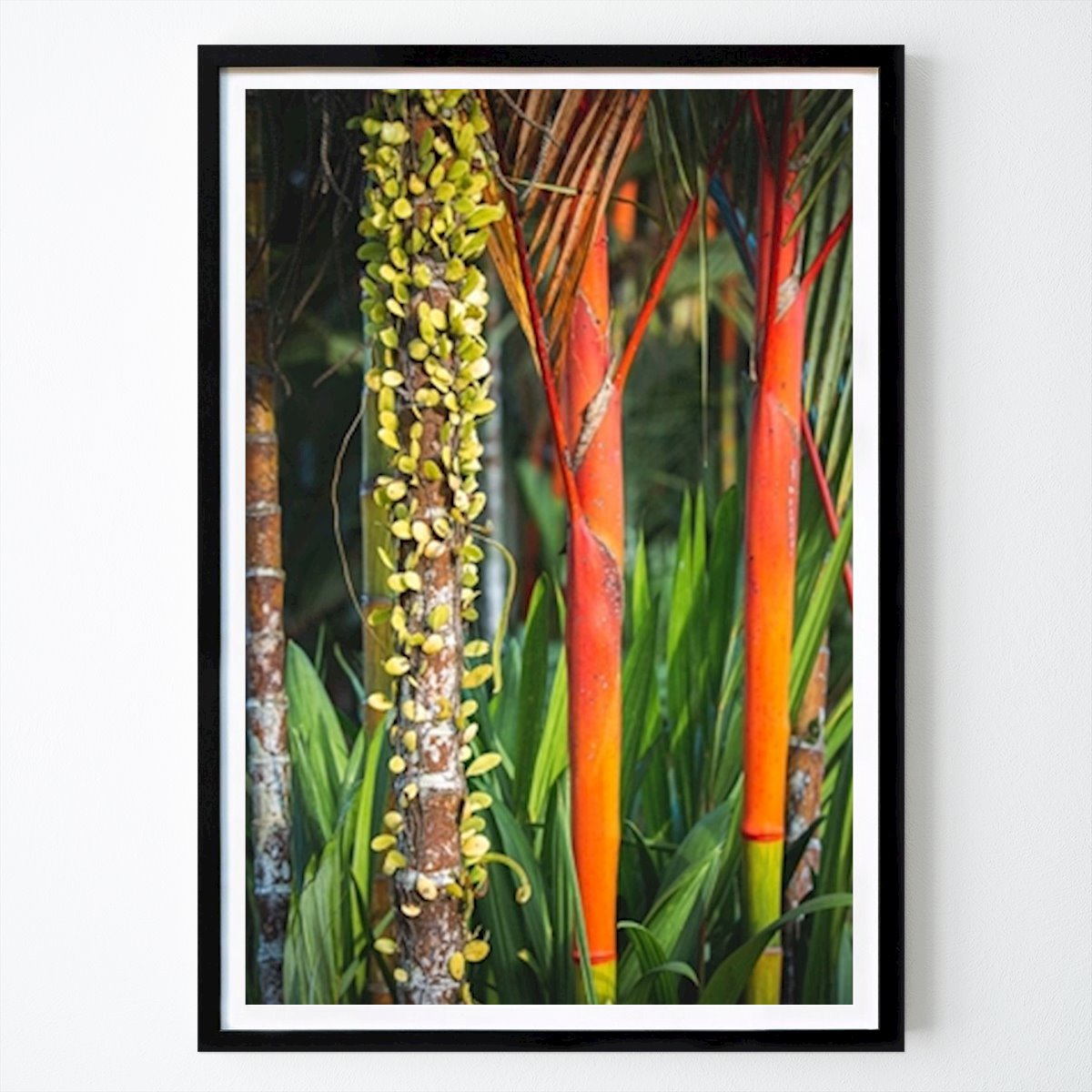 Botanisk Poster: Naturens färger av Felix Lohberger