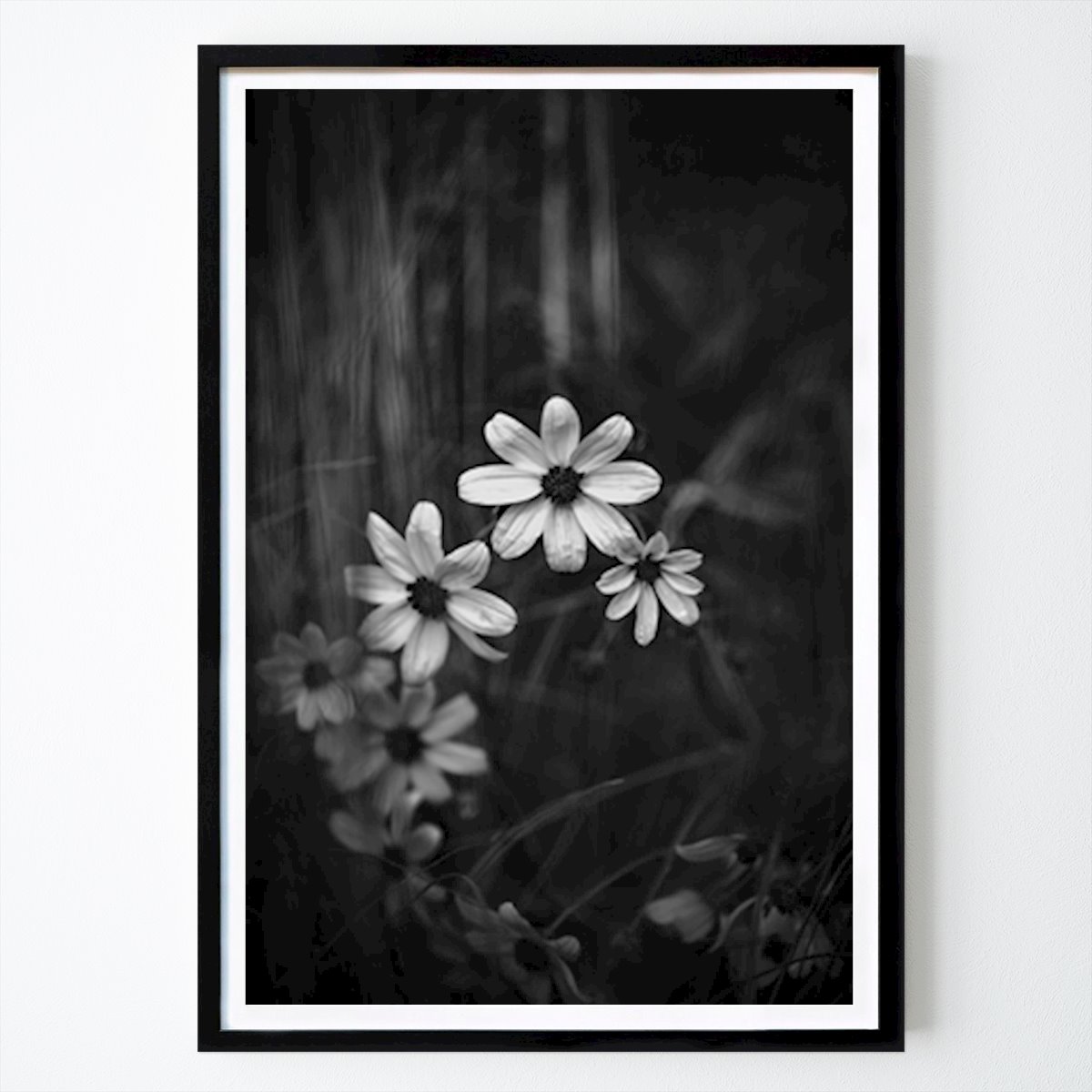 Botaniske Plakat: Naturens små underverker av Edith Nero