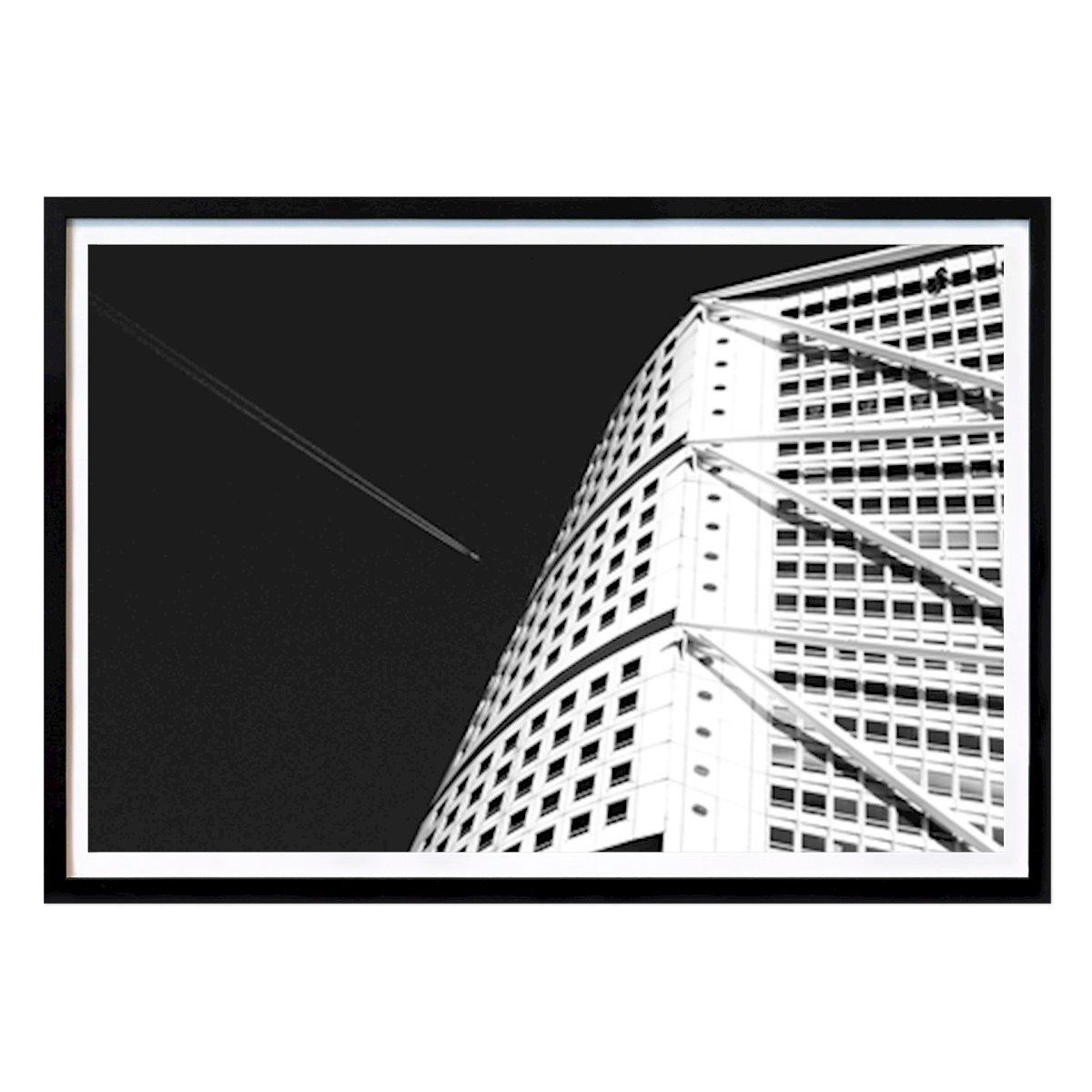 Animals Poster: The Window Cleaner by Tomas Schenström