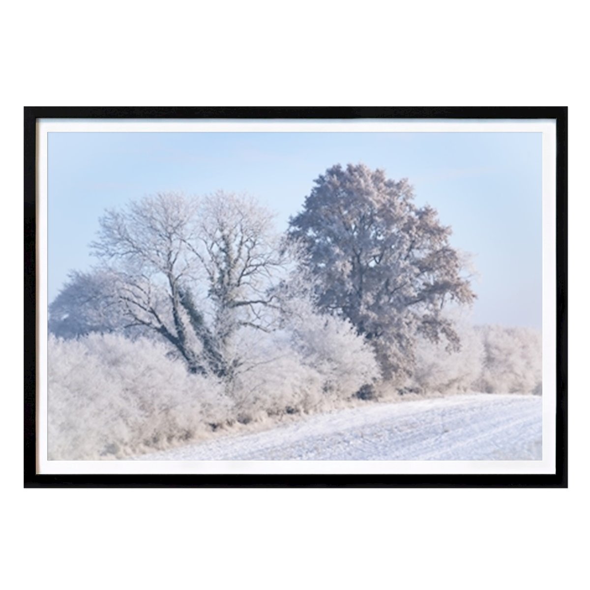 Nature Poster: Mecklenburg winter landscape by Robert Keilholtz