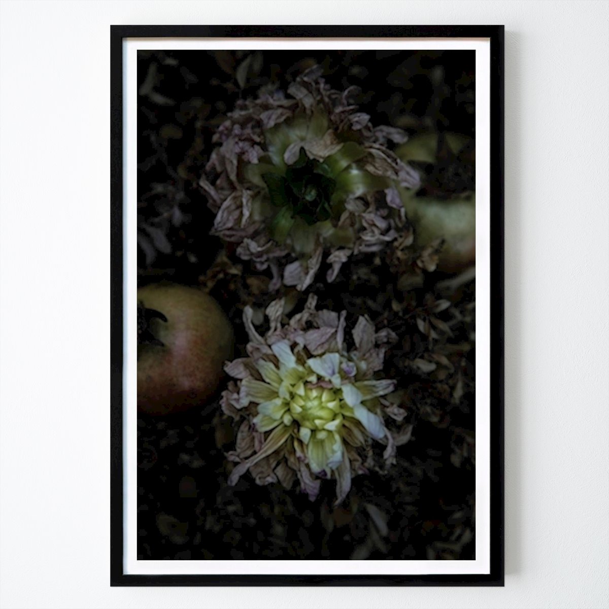 Kwiaty & Rośliny Plakat: Buxblom autorstwa Sofi Sykfont