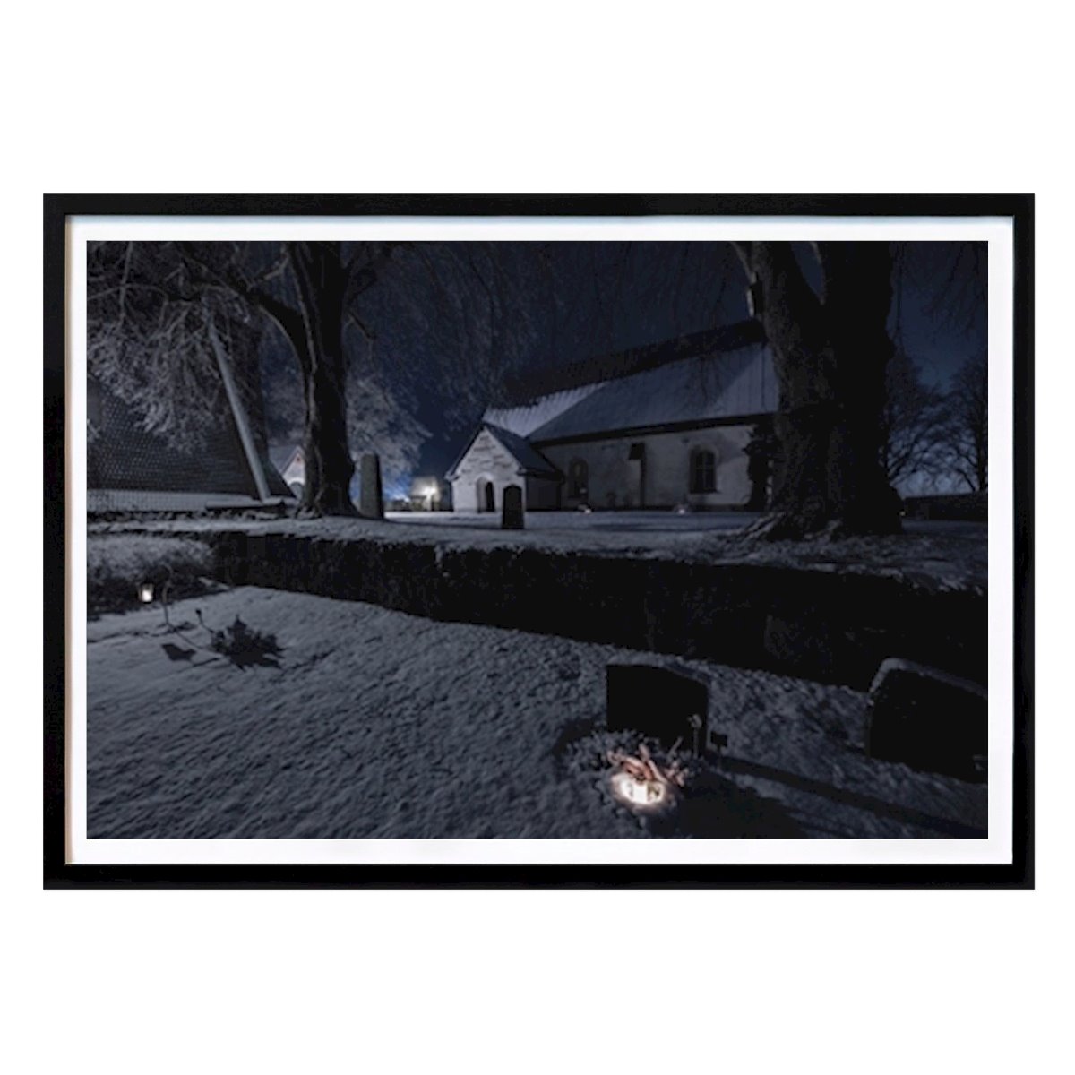 Botaniske Plakat: Kirkegård av Joakim Kuylenstierna