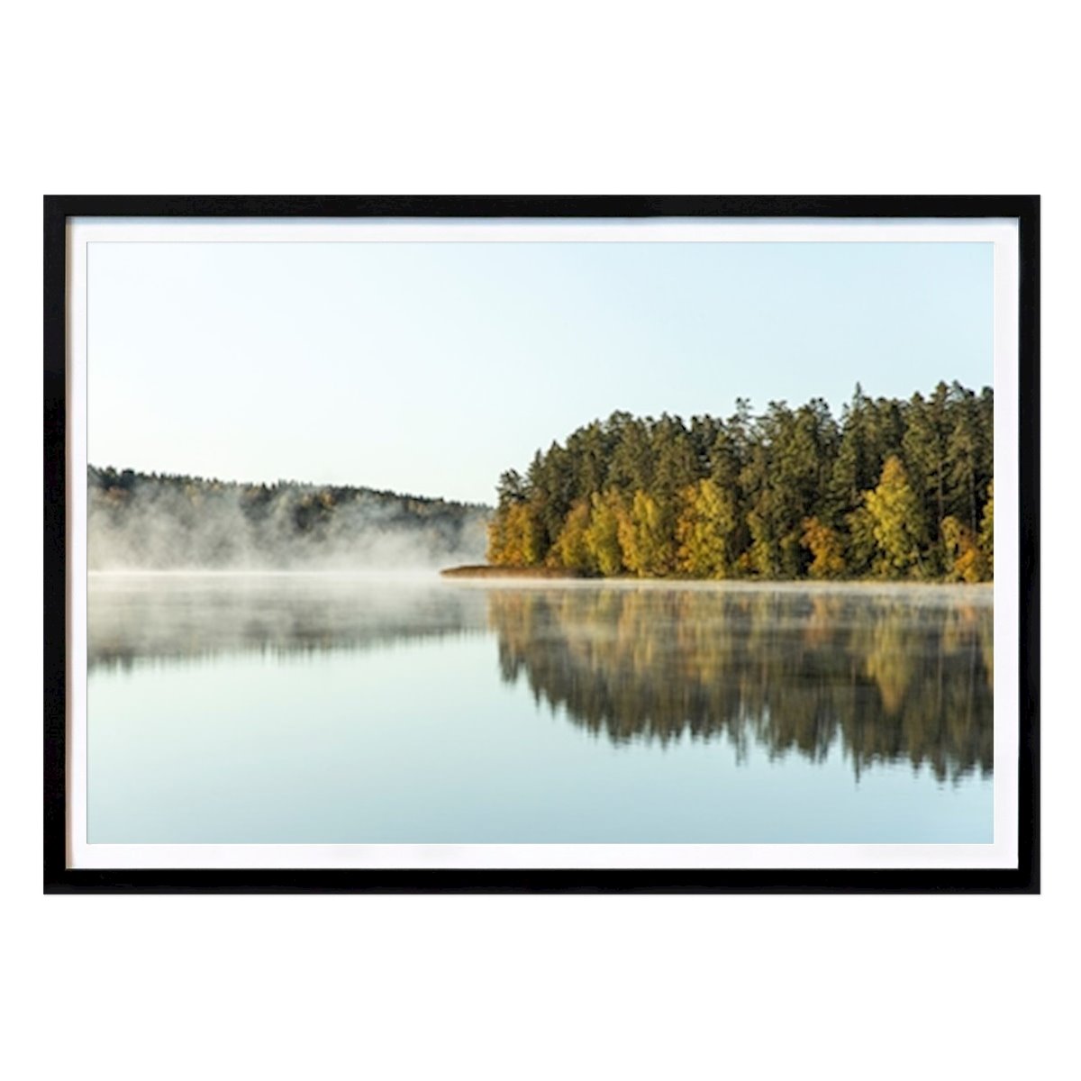 Nature Poster: Foggy morning by Fredrik Gustafsson