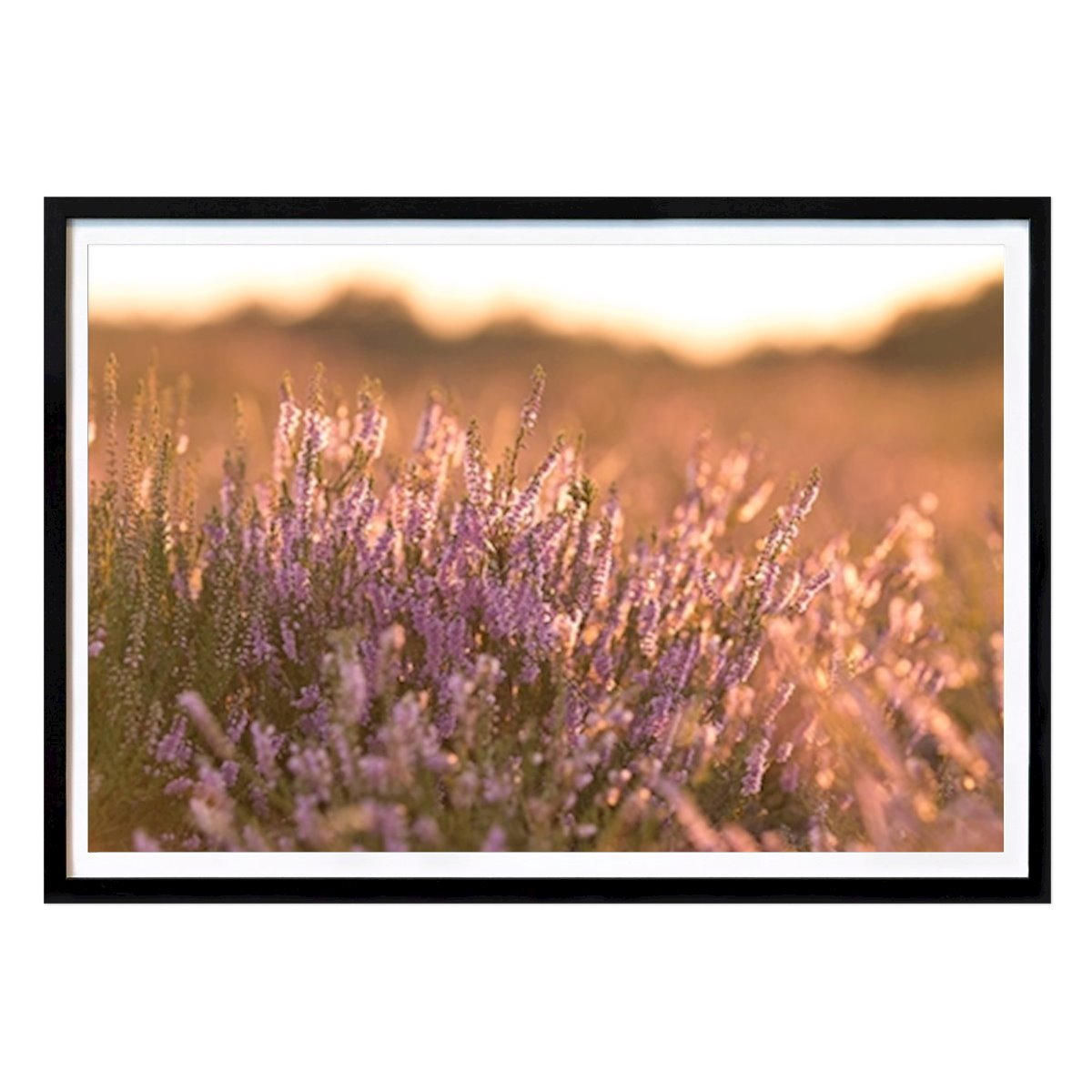 Botanical Poster: Evening atmosphere by Sophie Gestrich