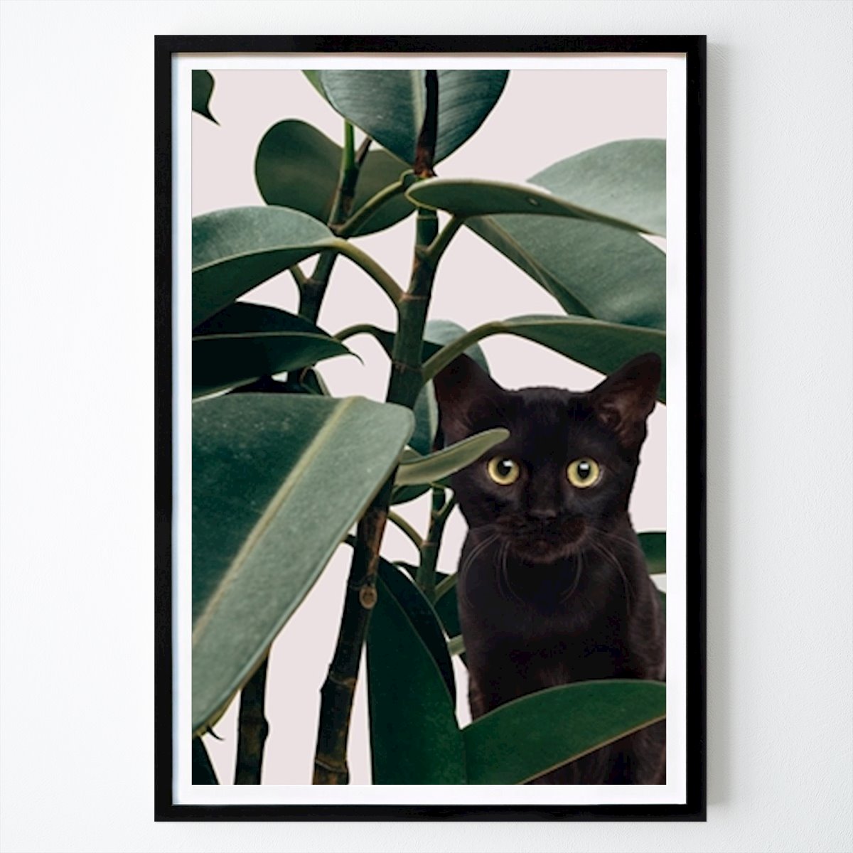 Djur Poster: Dold katt av Dikhotomy