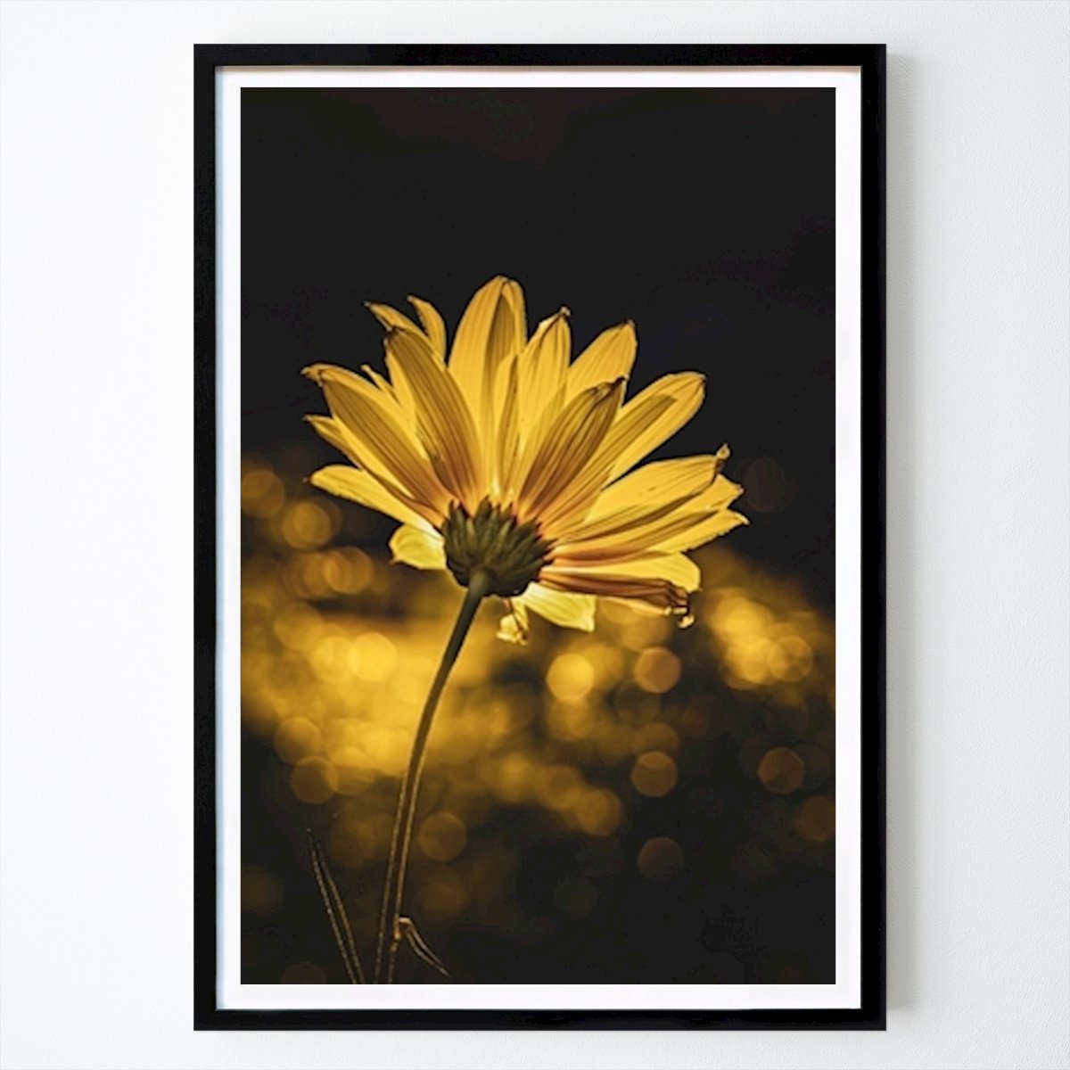 Kwiaty & Rośliny Plakat: Złoto autorstwa Moody Flowers Photography