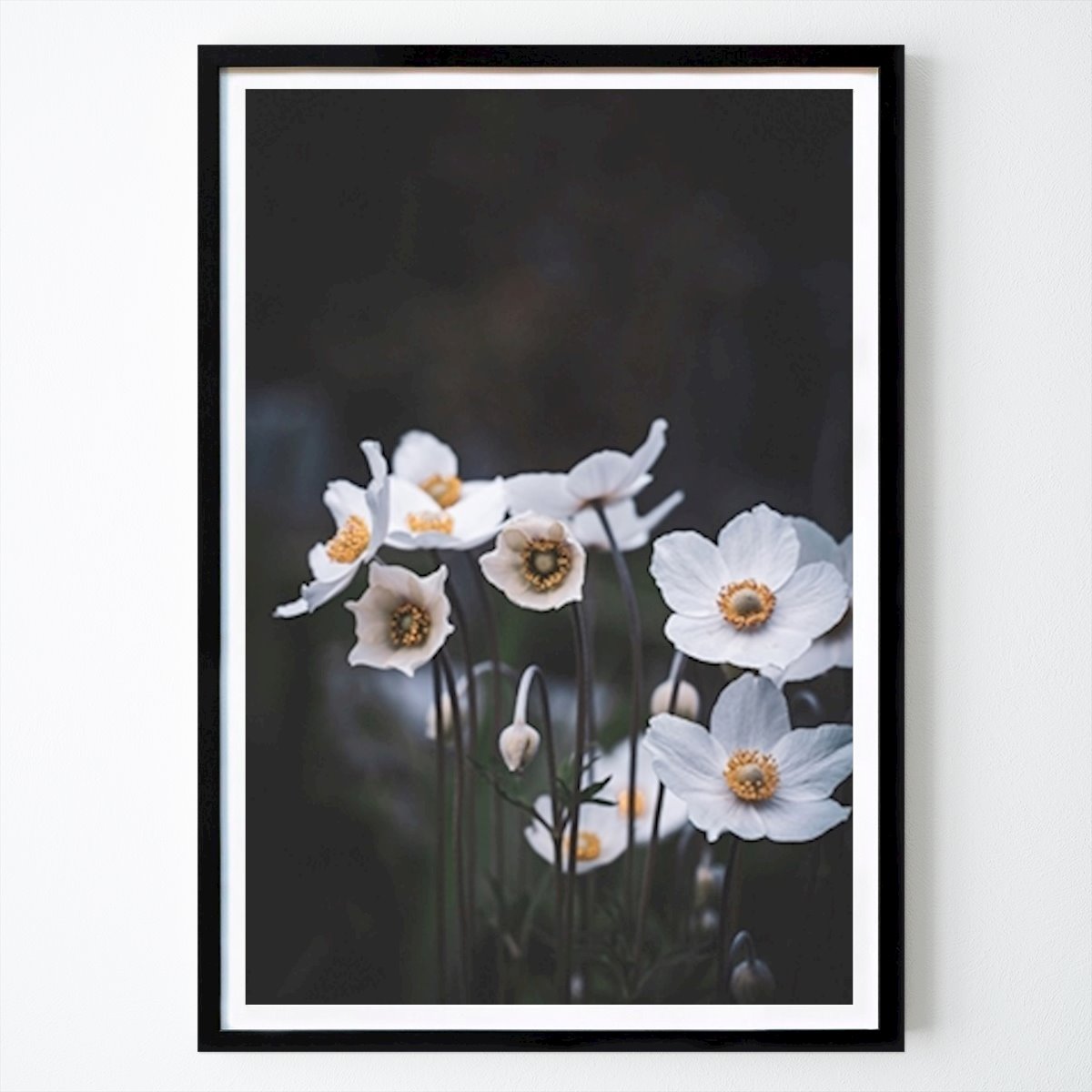 Botanical Poster: White flowers by Moody Flowers Photography