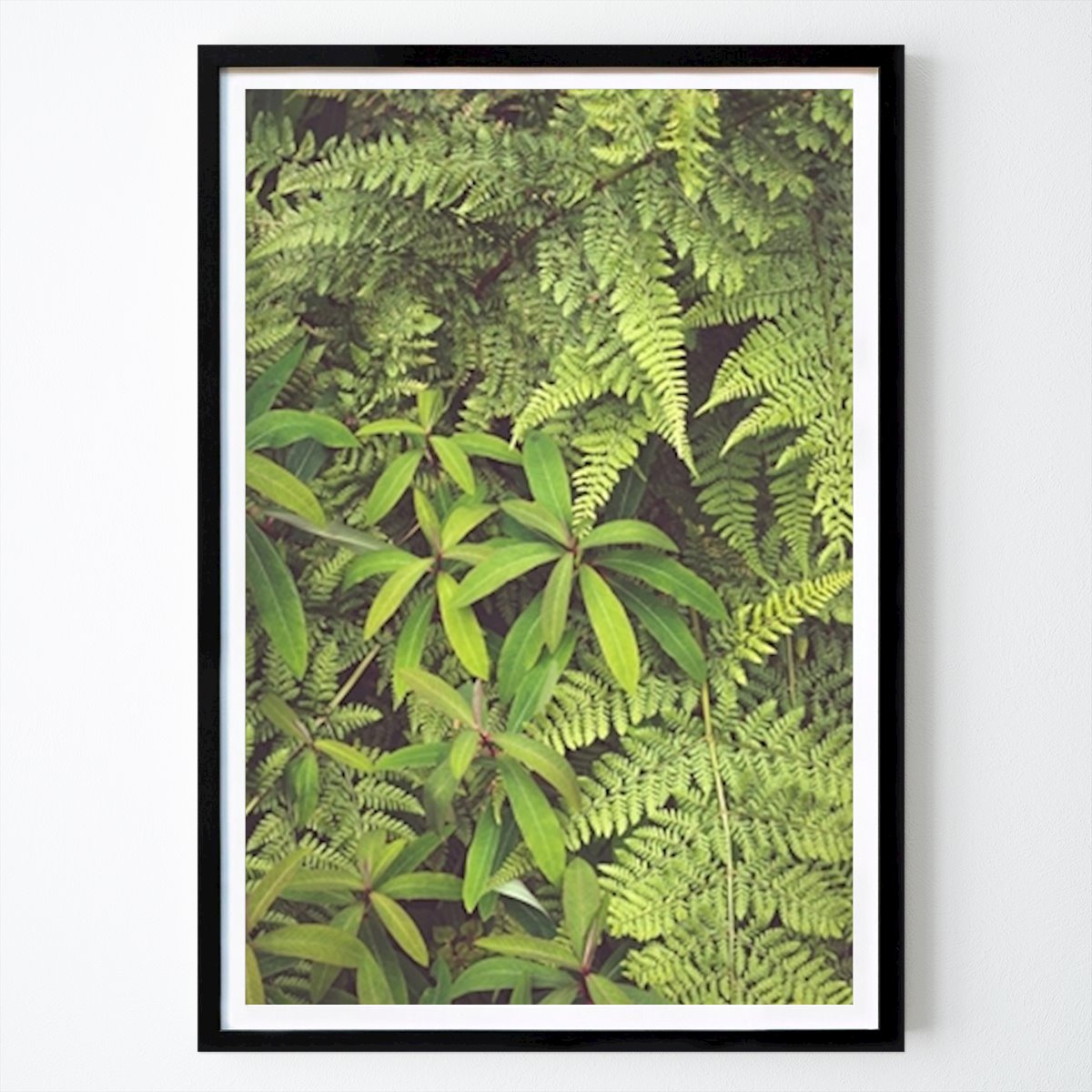 Retro & Vintage Poster: Lush Green Vegetation by Edith Nero