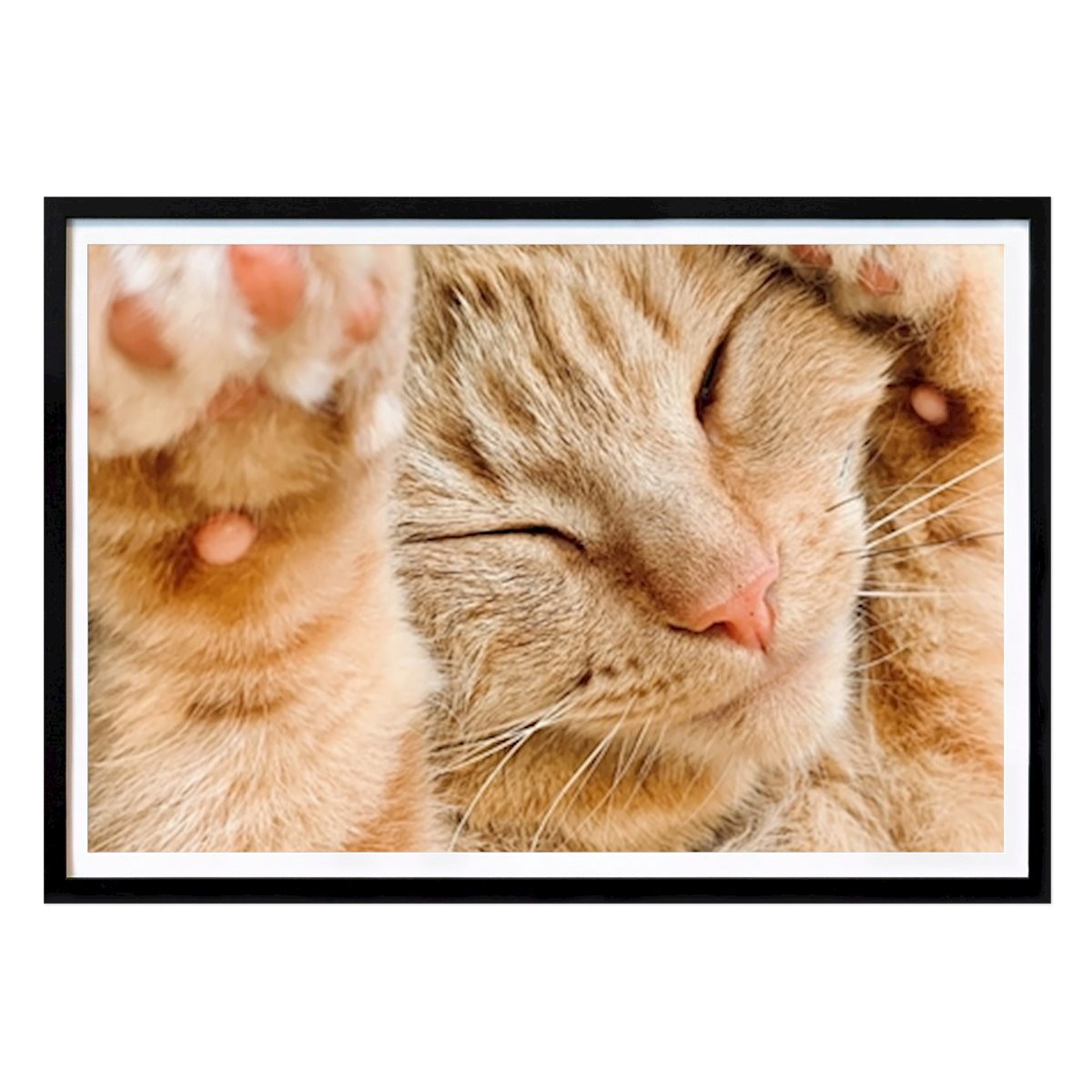 Kök Poster: Gul katt av Gustav Karlberg