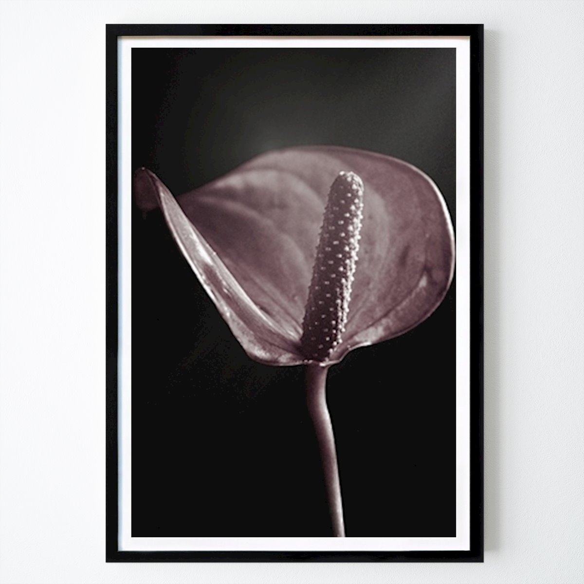 Retro & Vintage Juliste: Flamingoblomma tekijänä Helena Gylleby