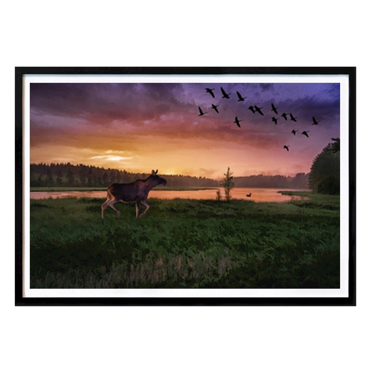 Byer & Steder Plakat: Elg ved innsjø ved solnedgang av Magnus Binnerstam