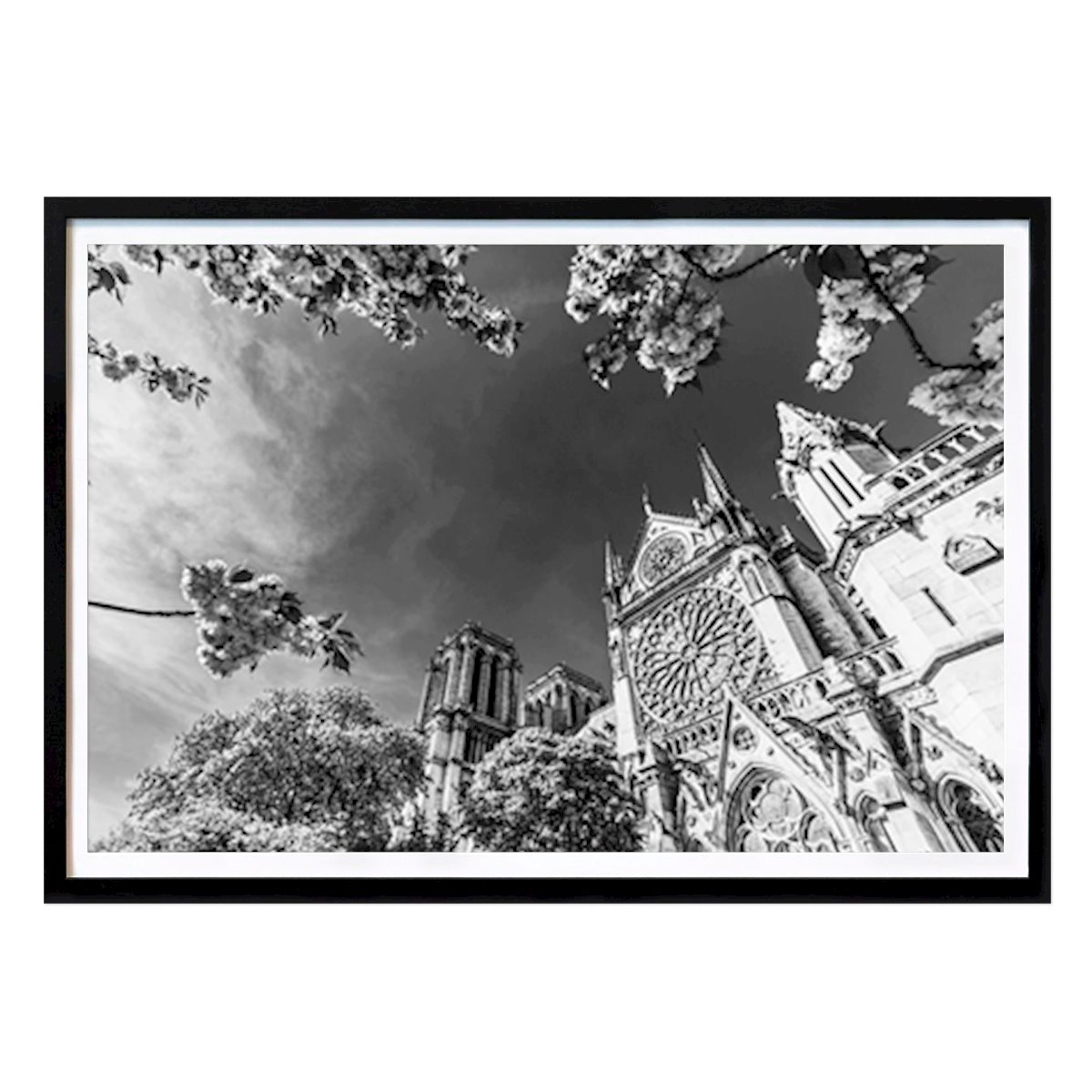 Città & Paesi Poster: Notre-Dame de Paris di Dieterich Fotografie