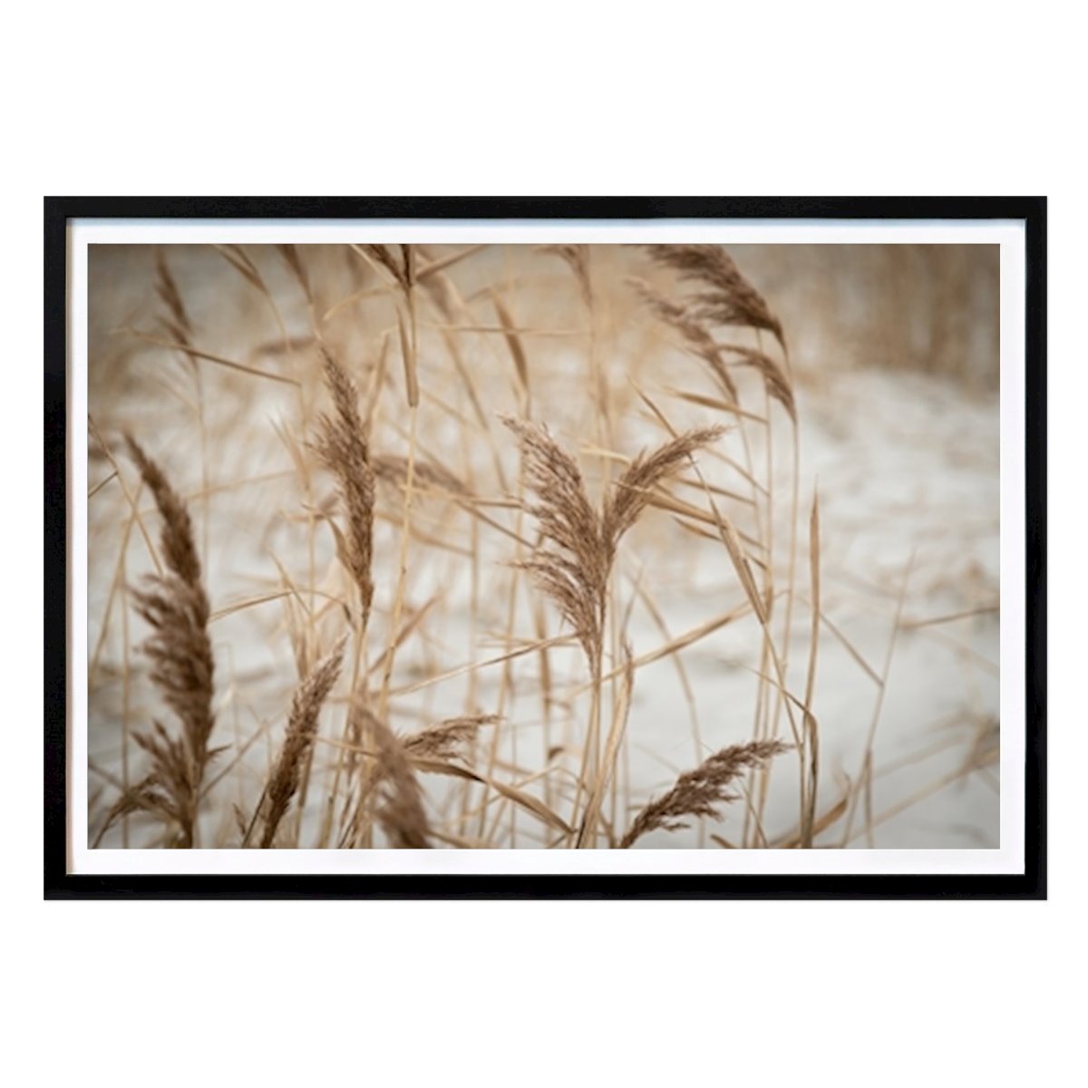 Natur Poster: Sanddyner vid havet | Strand foto av Karijn Seldam