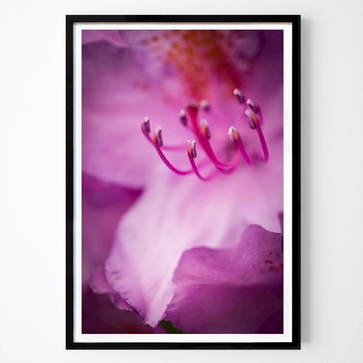 Blomster & Planter Plakat: Rododendron av Patrik Wennerlund