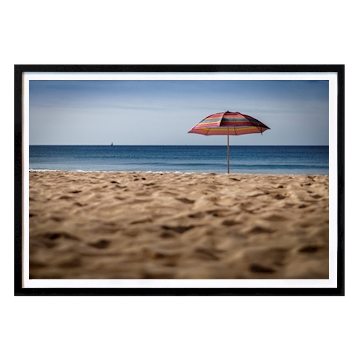 Nature Poster: Beach Life I by Patrik Wennerlund