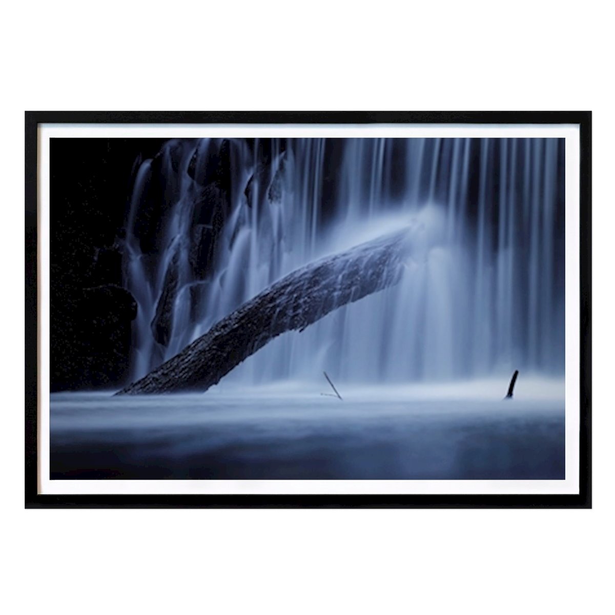 Animale Poster: Cantone di Baybach di David Neumann