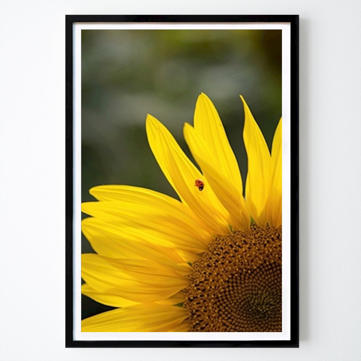 Nature Poster: Ladybug on sunflower by Avaa Natura