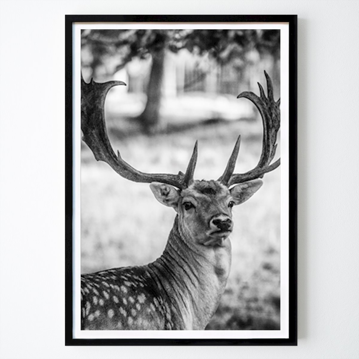 Noir et Blanc Affiche: Cerf par Johan Pehrson