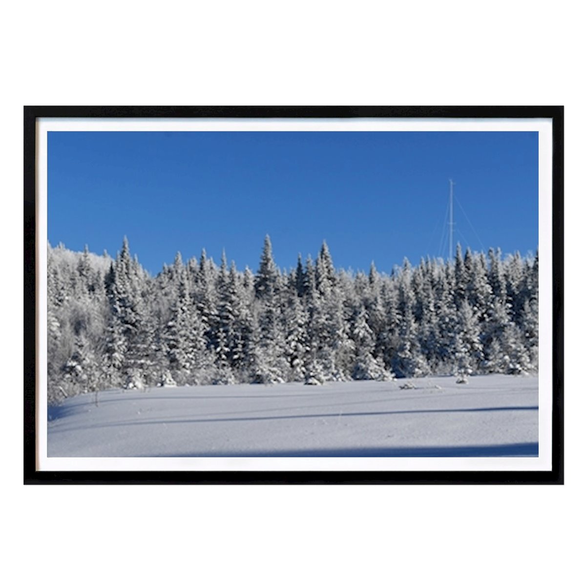 Kitchen Poster: A frosty forest by Claude Laprise