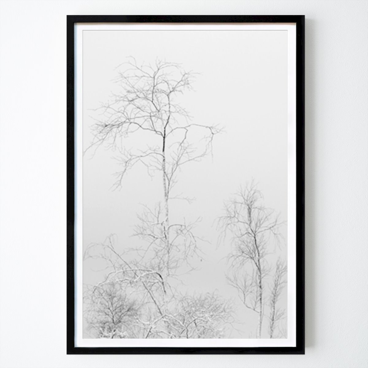 Black & White Poster: Within A Sleeping Forest by Simon Strömbäck