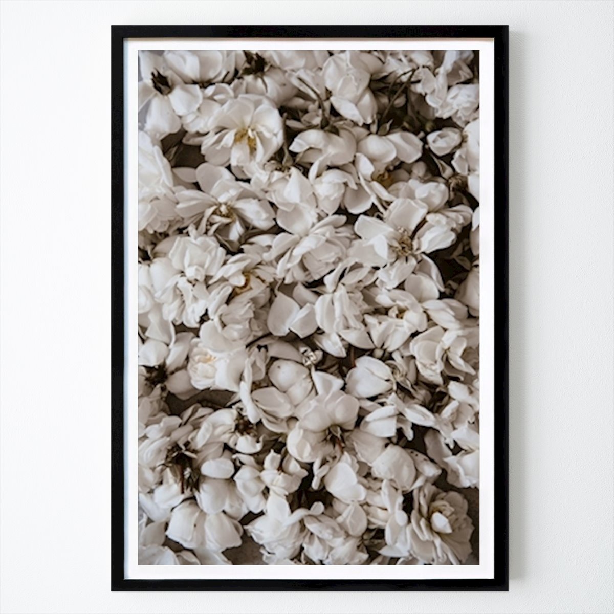 Fleurs & Plantes Affiche: Flowerbomb par Patricija Dacic