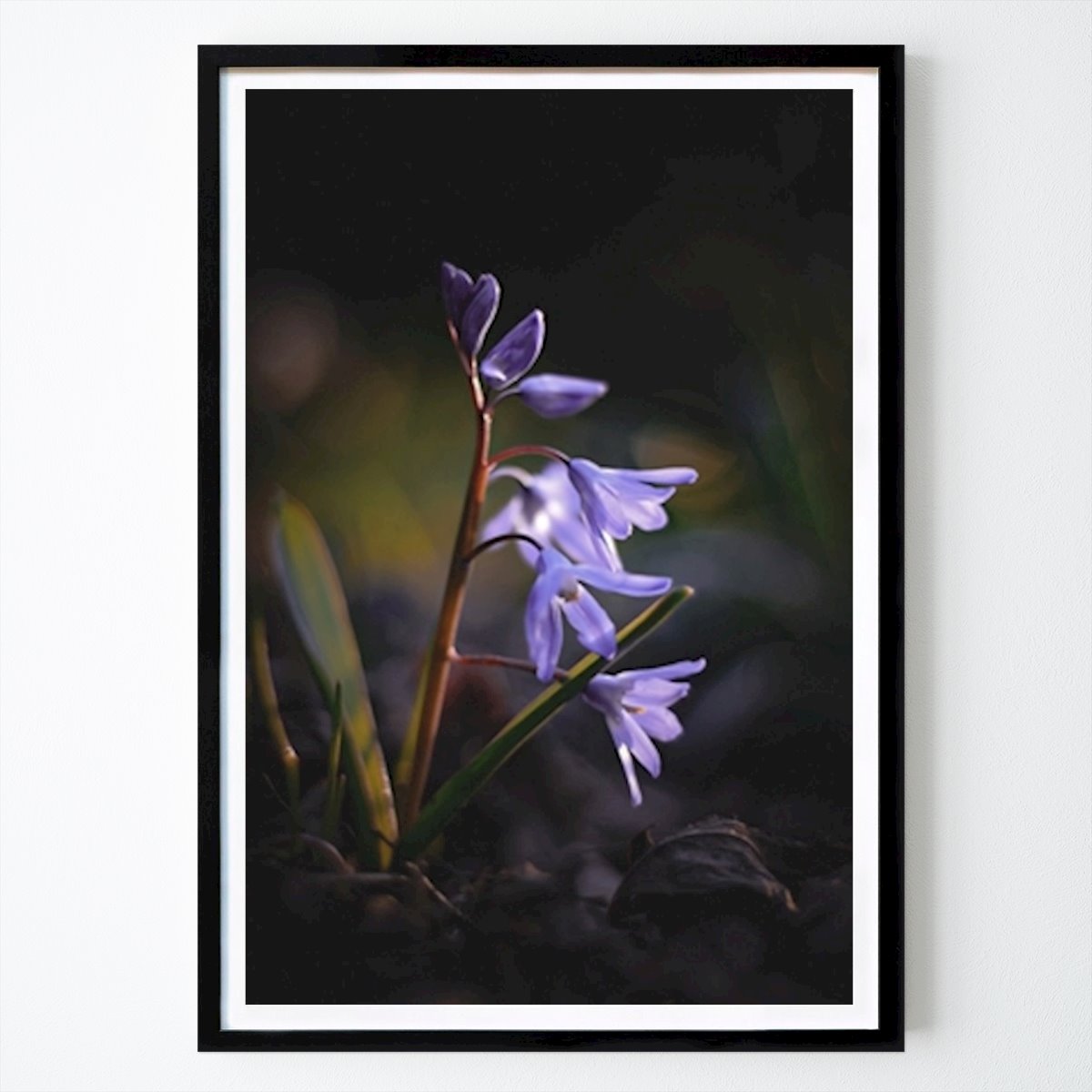 Przyroda Plakat: Nastrojowy autorstwa Moody Flowers Photography