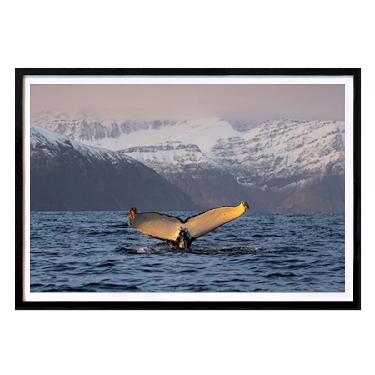 Places & Cities Poster: Golden fluke by David Lerch