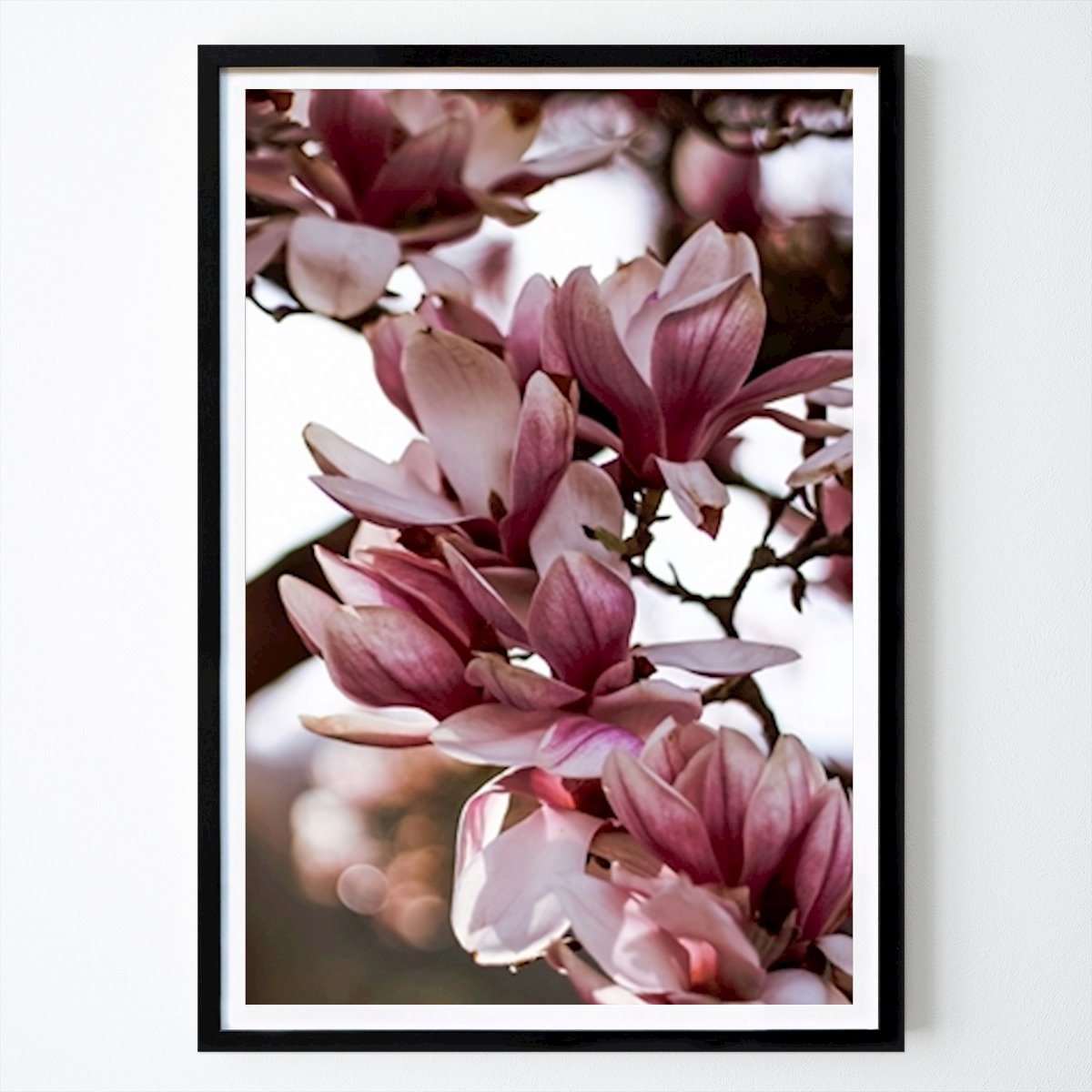 Przyroda Plakat: Magnolias autorstwa Moody Flowers Photography