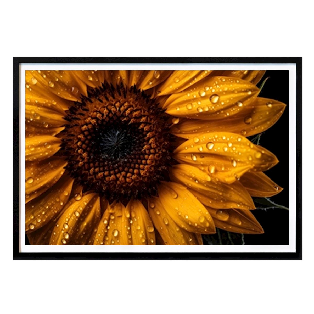 Botanical Poster: Sunflower by Johan Nilsson