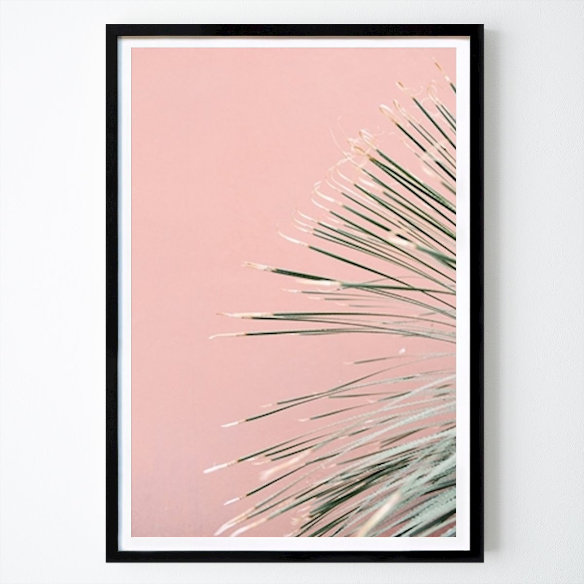 Amsterdam Poster: Green palm against pink wall by Mirjam Broekhof